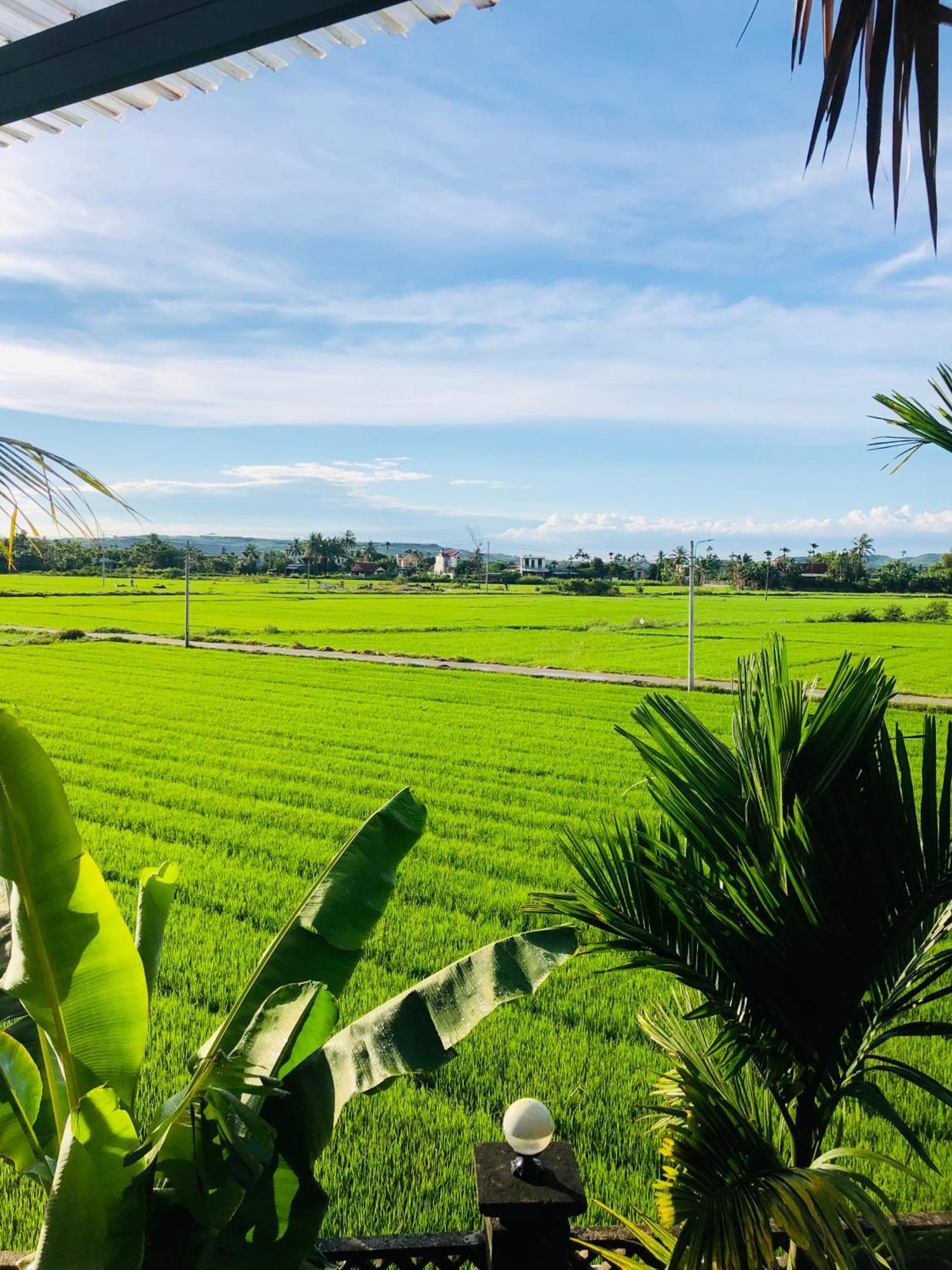 Countryside Homestay Куангнгай Экстерьер фото